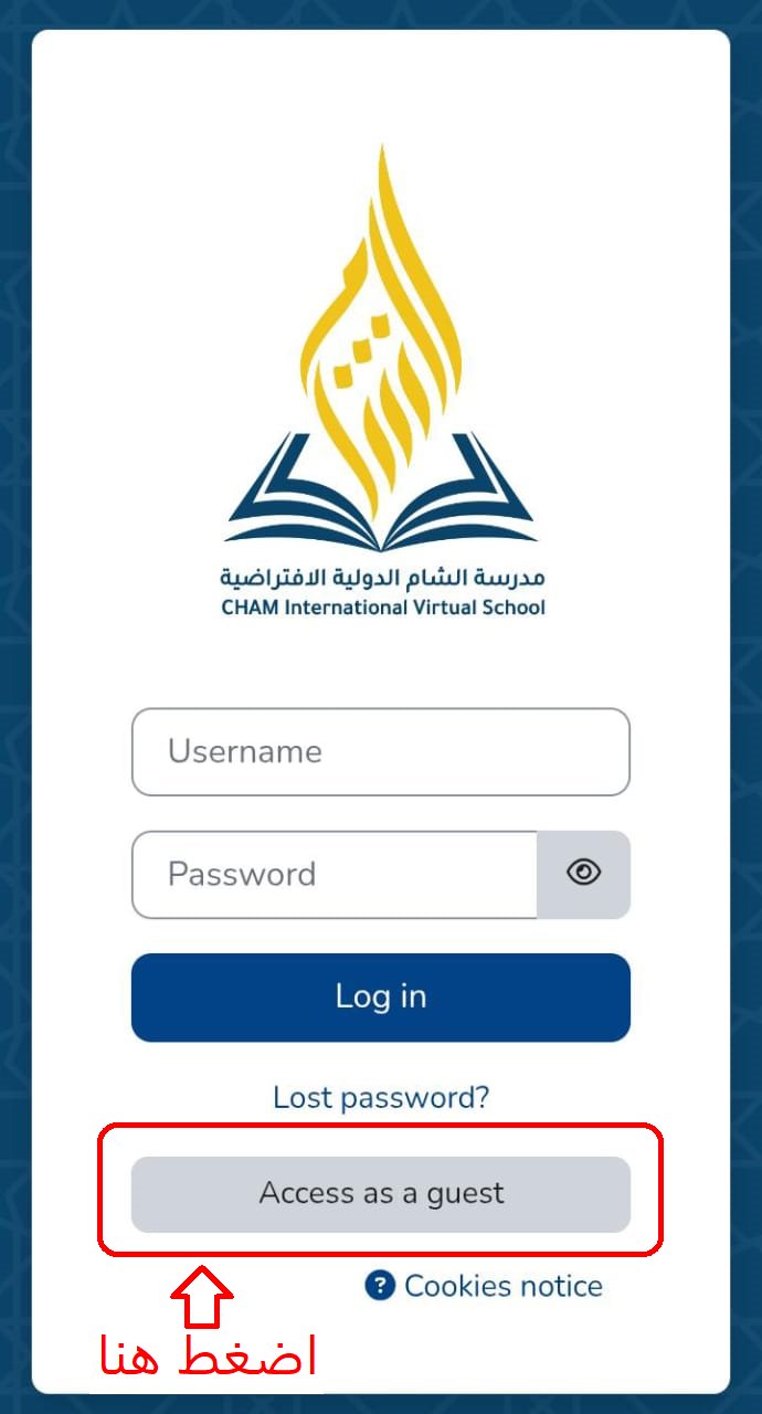 تجربة التعليم الافتراضي في مدرسة الشام